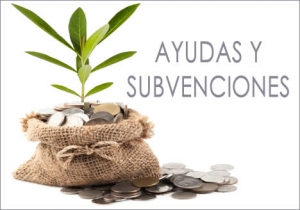 AYUDAS-SUBVENCIONES